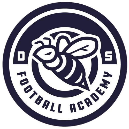 Logo de DS Edusoccer
